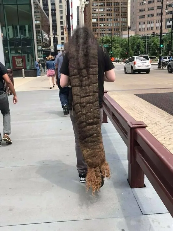 Looks Like A Damn Lobster