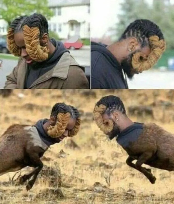 The Real Goat