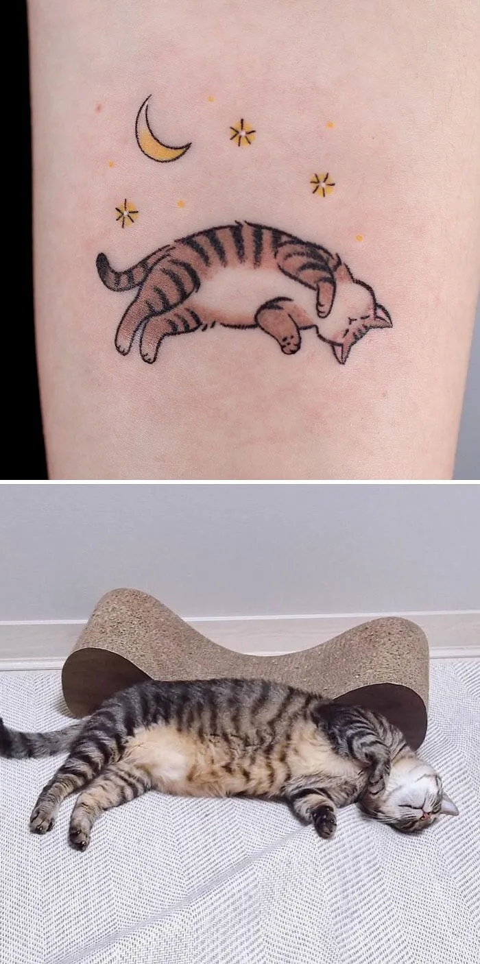 Cute Cat
