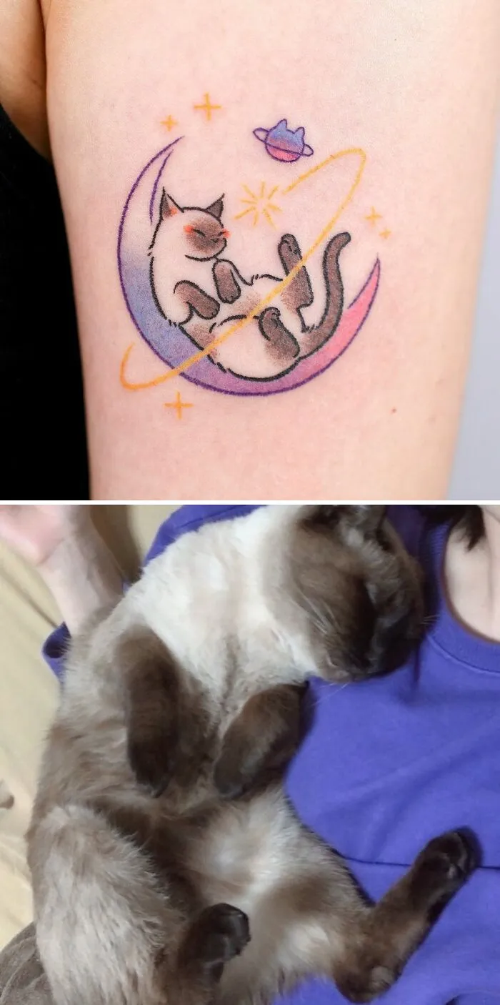 Cat Resting On The Moon