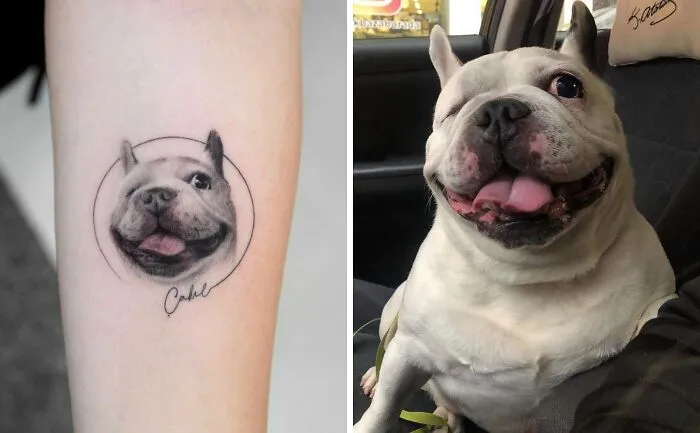 Dog's Portrait