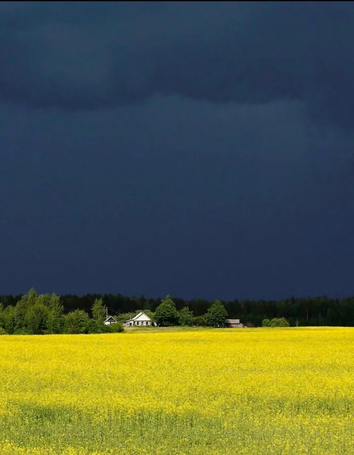 La calma antes de la tormenta