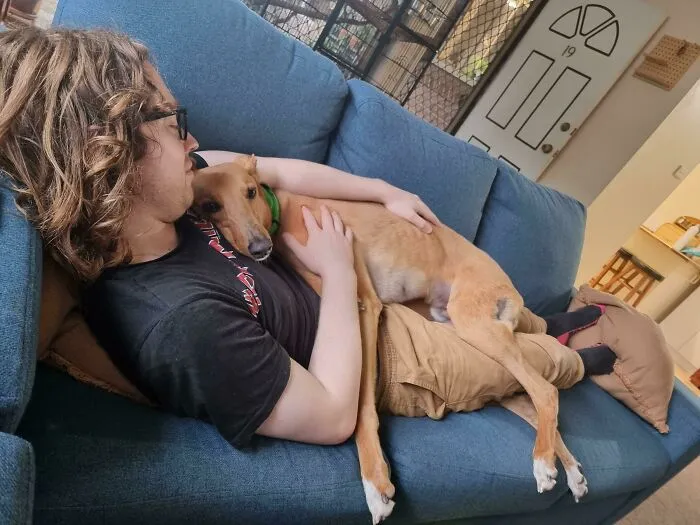 Nuestro chico recién adoptado, Obi, se está adaptando bastante bien
