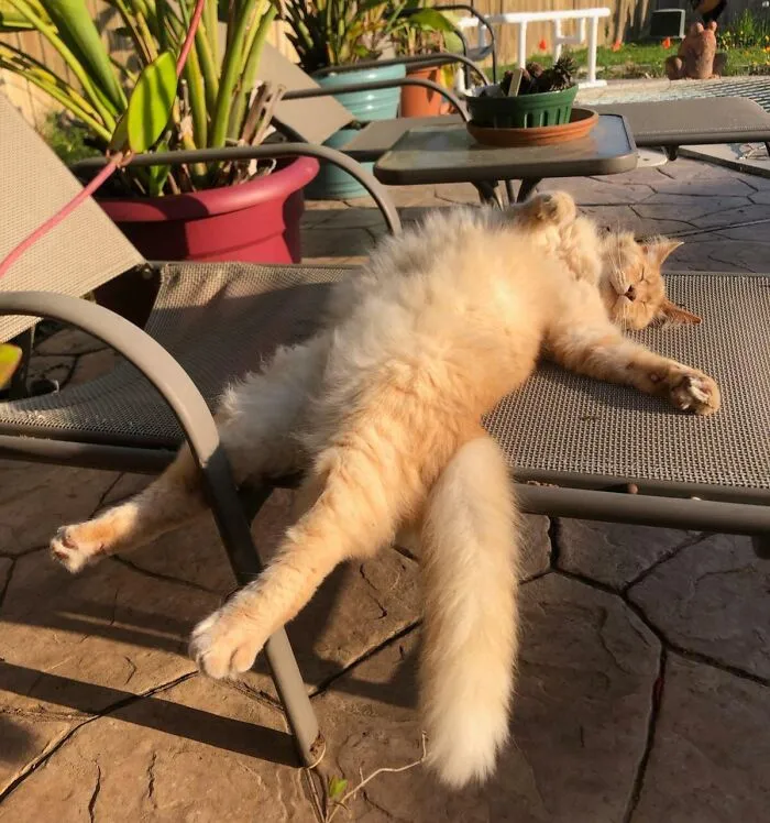 Floyd Relaxing Poolside