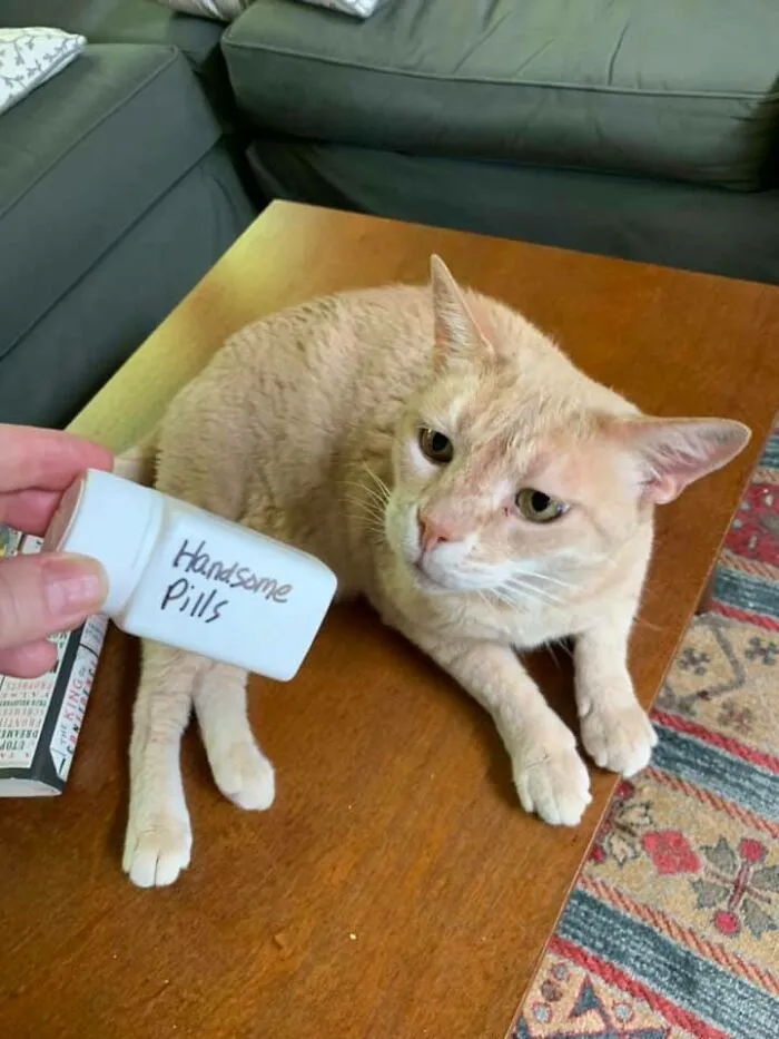 They're For Allergies But He Doesn't Need To Know That