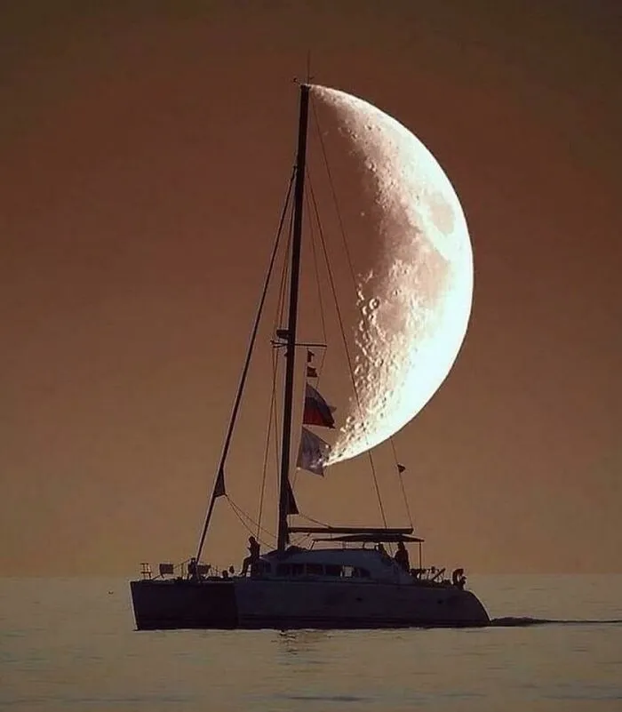 Perfect Shot
