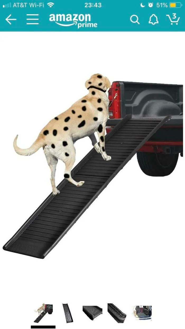 Estaba buscando rampas para perros en Amazon para mi viejo labrador y la foto del ejemplo es, claramente, un labrador al que le agregaron manchas con MS Paint