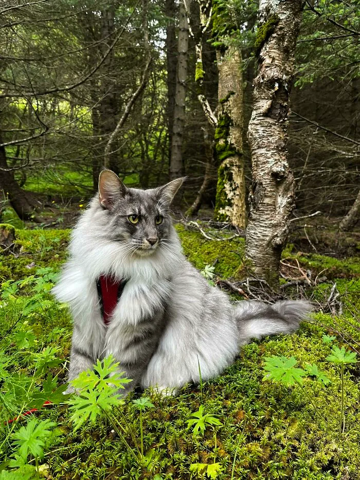 In His Element