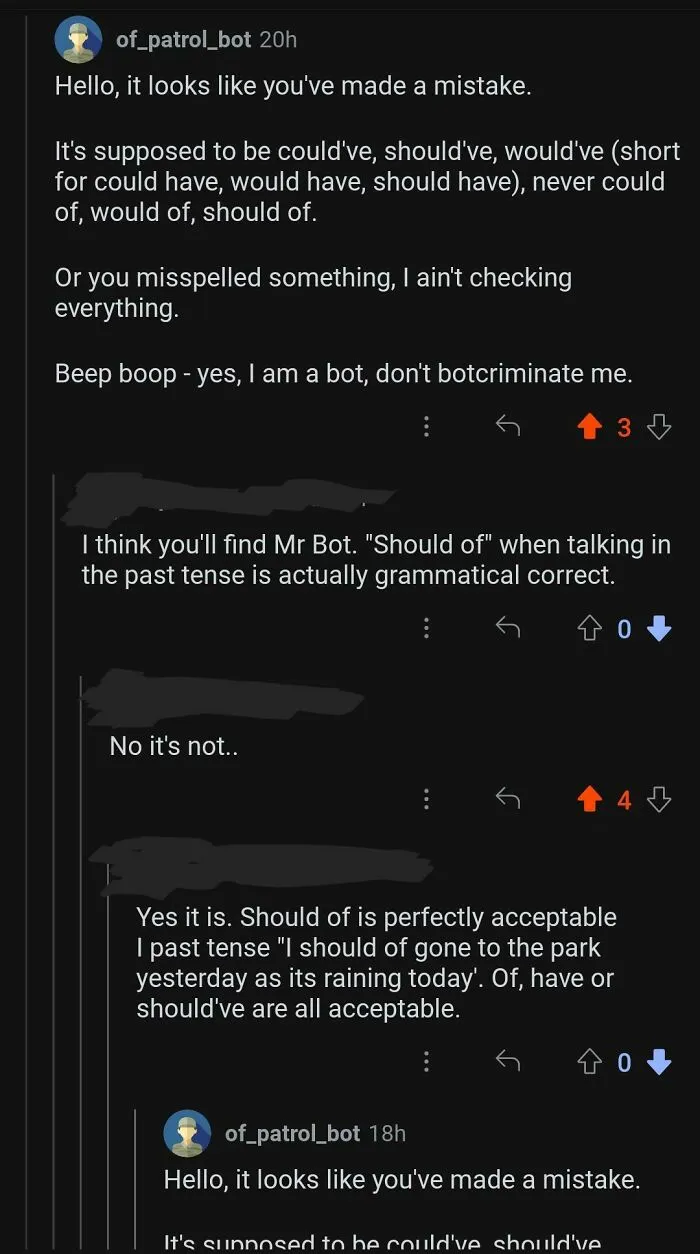 The Golden Rule: Never Disagree With The Grammar Bot