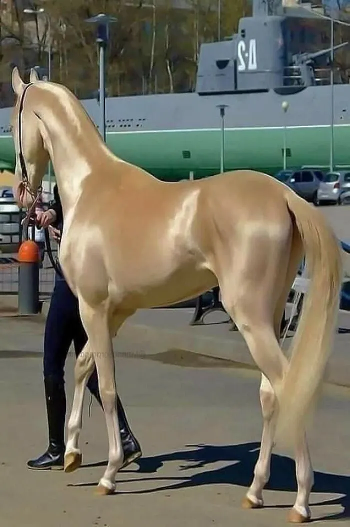 Beautiful