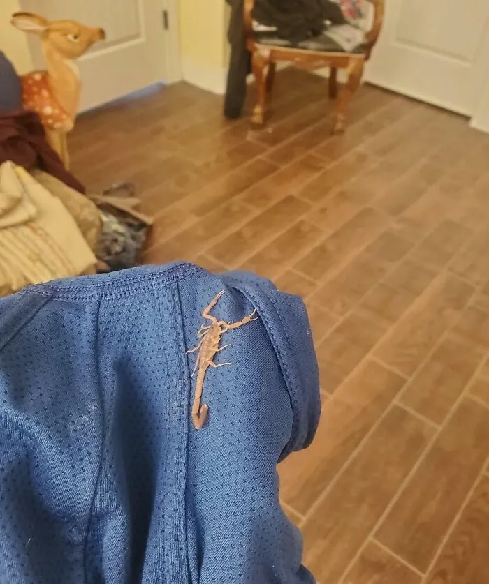 My Friend Forgot To Check His Underwear Before Putting It On