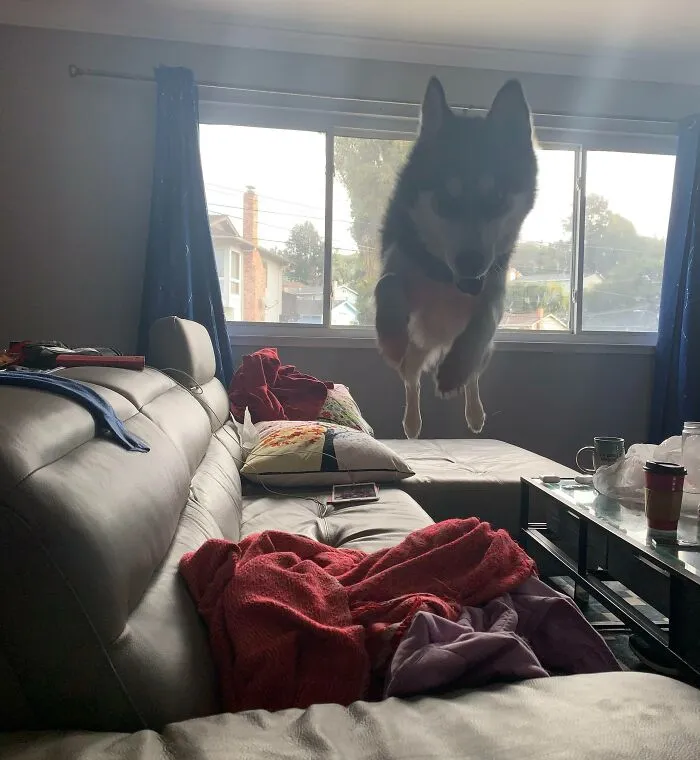 Incoming!