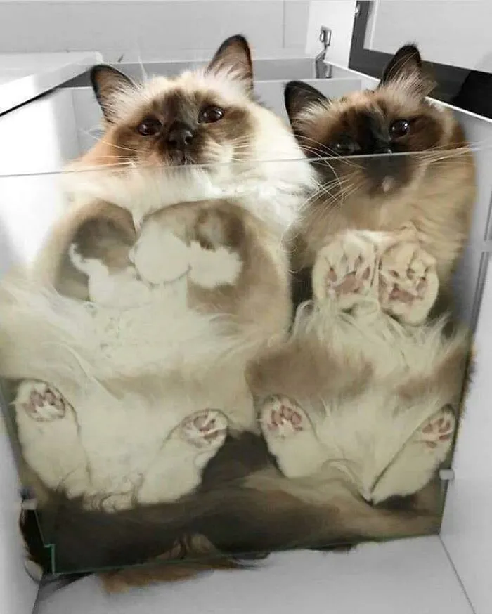Have You Ever Wondered What The Bottom Of A Loaf Looked Like?