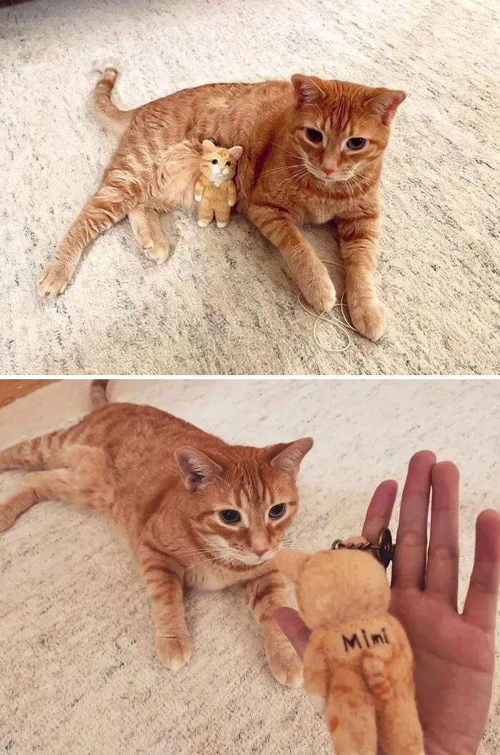 Mimi And Mini-Mimi