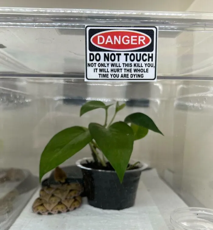This Warning Sign On A Venomous Snake Enclosure