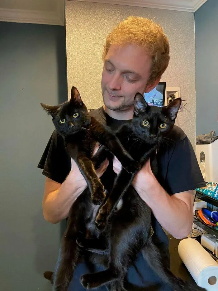 El fin de semana adopté a estos dos bichos amorosos. Saluda a Balerion (alias Bailey) y a Drogon, mis pequeños bebés dragón negro