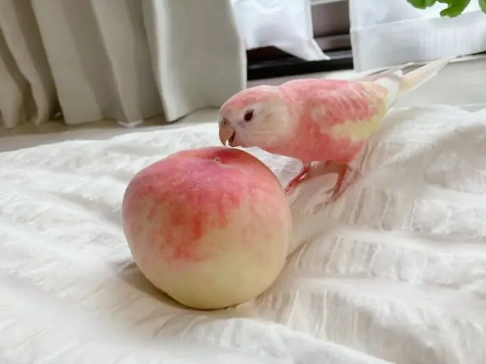 50 Times People Noticed Something Dreamlike And Shared Photos On The "Accidental Surrealism" Group