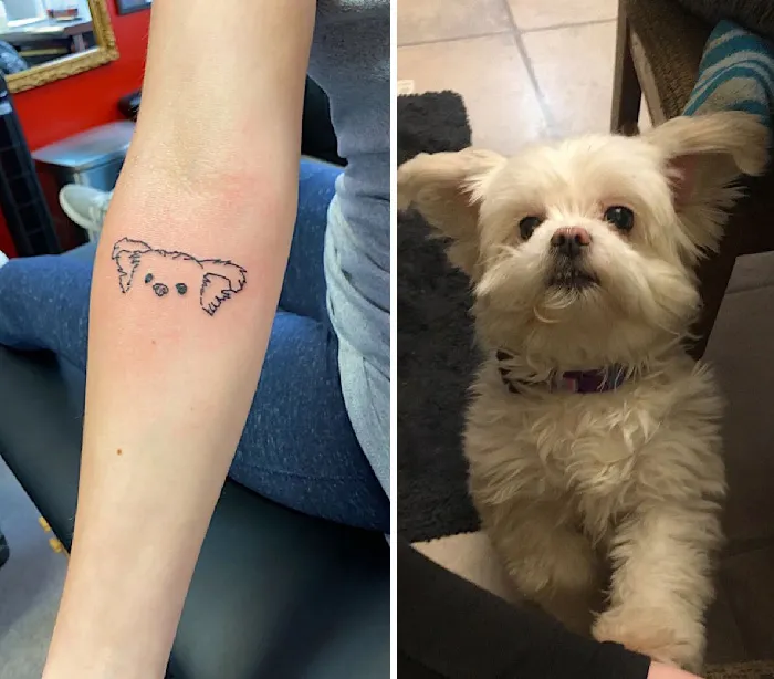 Charlie's Ears Tattoo