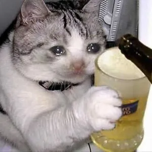 CheesyCat