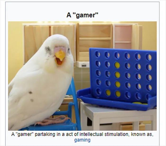 Folks Online Are Chuckling At These 30 Ridiculous “Edits” Of Wikipedia Pages As Shared By This Dedicated Twitter Page