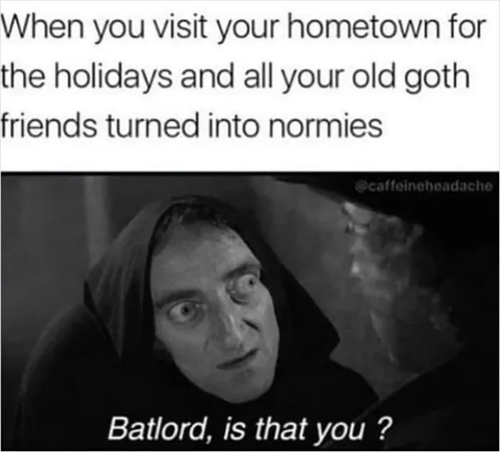 30 Memes And Posts That Sum Up What Kind Of People Goths Are, Shared On This Facebook Page
