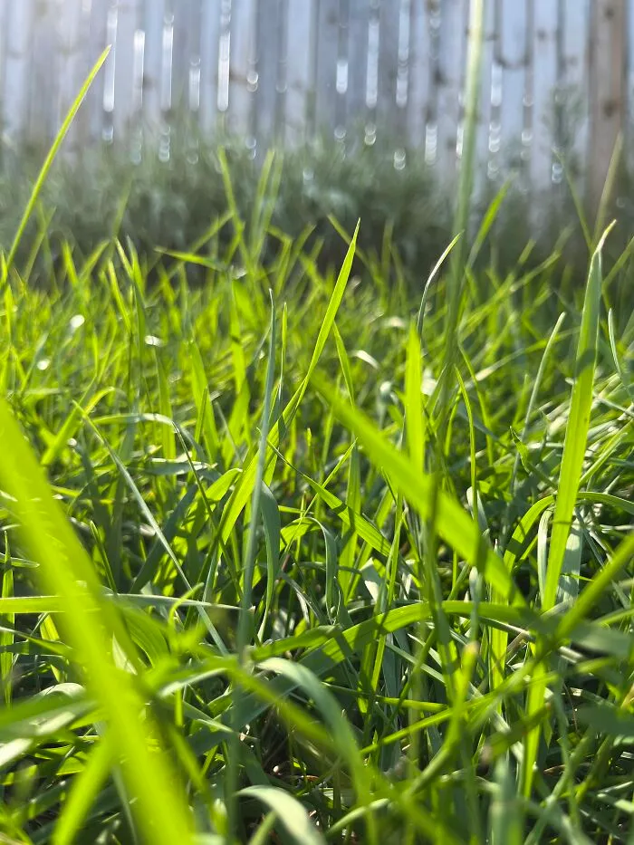 Pictures I’ve Taken Recently (10 Pics)