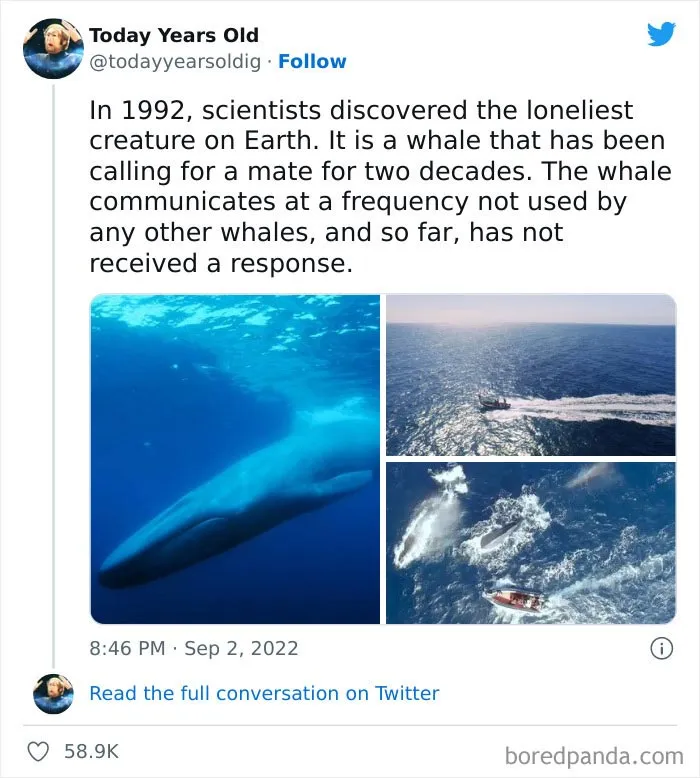 The ‘Today Years Old’ Social Media Project Shares Cool Facts, And Here Are 50 Of The Very Best Ones