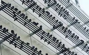 50 Times People Noticed Something Dreamlike And Shared Photos On The "Accidental Surrealism" Group