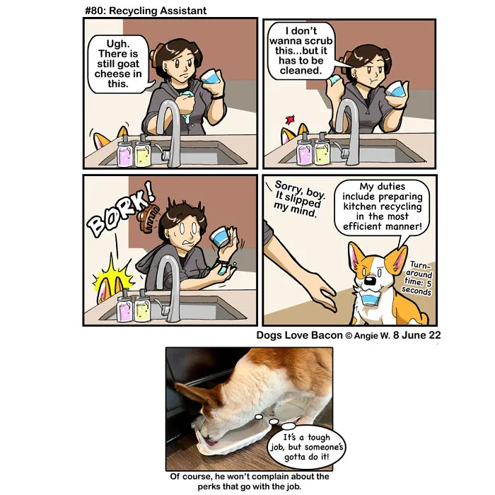 23 Comics I Made To Illustrate The Funny Reality Of Being A Dog Owner (New Pics)