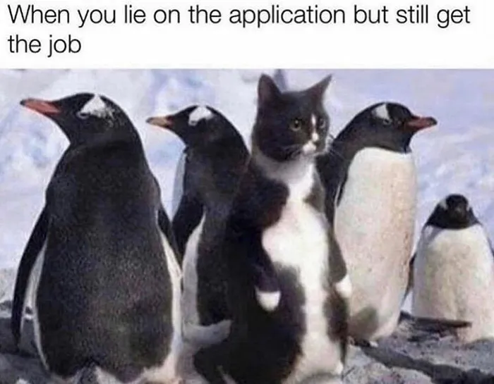 Cat among penguins, humorously standing out, capturing a funny and relatable cat meme.