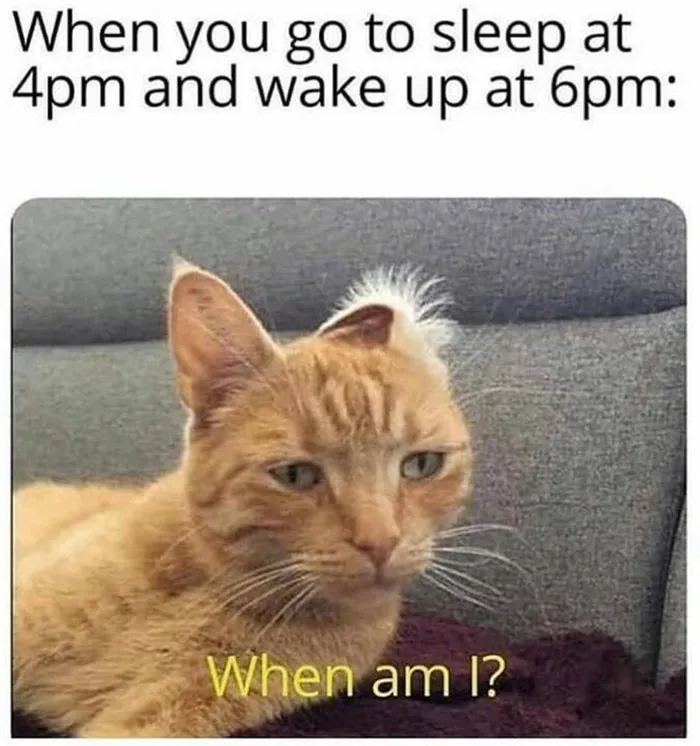 Funny cat meme of a confused ginger cat with text "When you go to sleep at 4pm and wake up at 6pm."