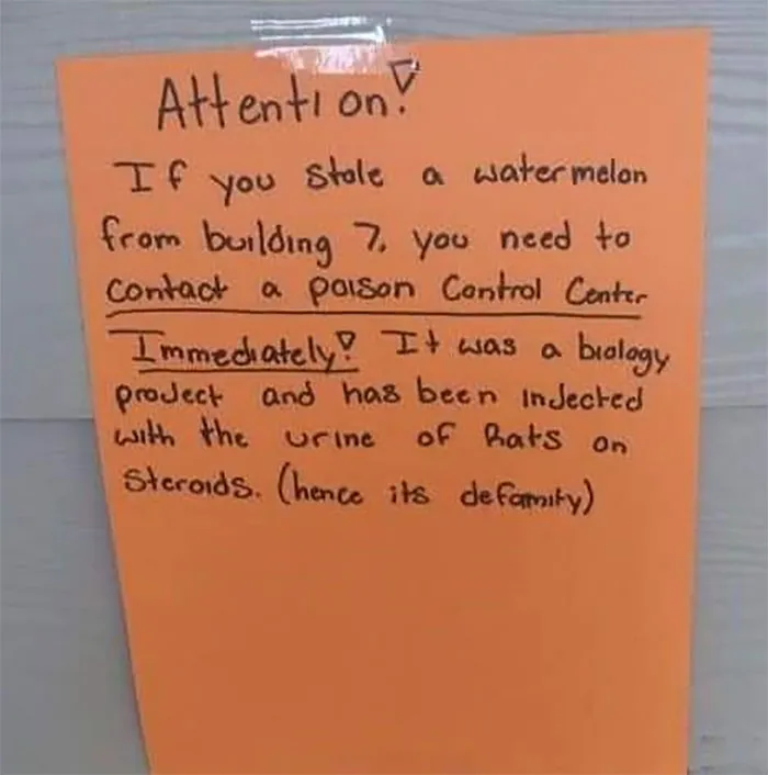 "Stupid And Weird Signs": 50 Of The Funniest Signs Ever, As Collected By This Facebook Group