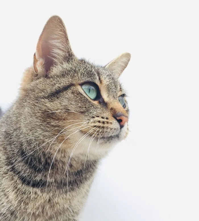 Olga Had Such Stunning Seaglass Eyes