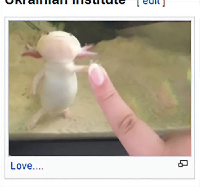 Folks Online Are Chuckling At These 30 Ridiculous “Edits” Of Wikipedia Pages As Shared By This Dedicated Twitter Page