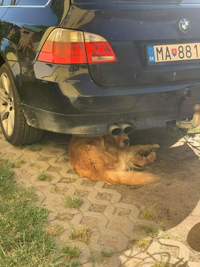 50 Times People Noticed Something Dreamlike And Shared Photos On The "Accidental Surrealism" Group