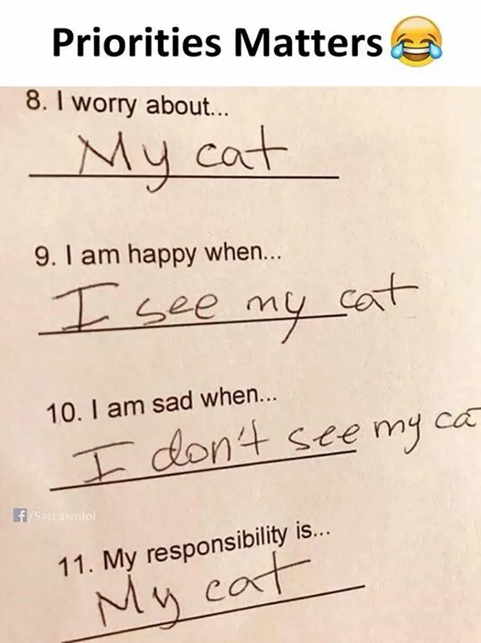 Funny cat meme with handwritten responses showing a cat owner’s priorities focused entirely on their cat.