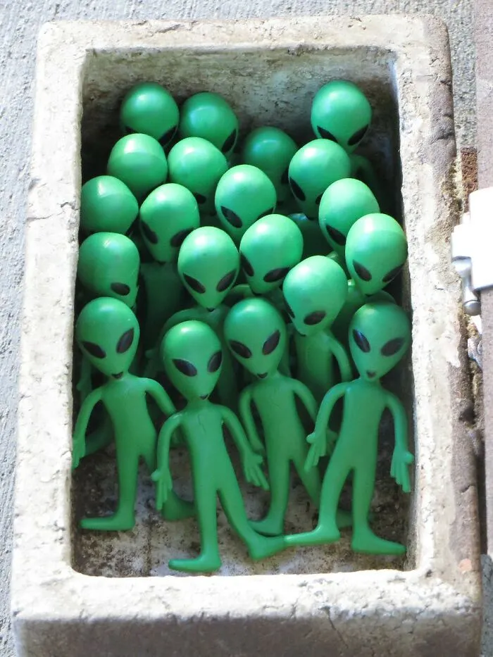 30 Things People Are Certain Of Without A Need To Prove It, As Shared In This Online Thread