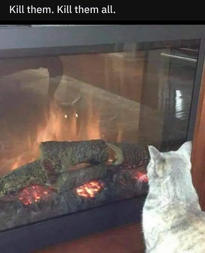 Cat staring intently at a fireplace with a humorous caption, showcasing a funny catnip moment.
