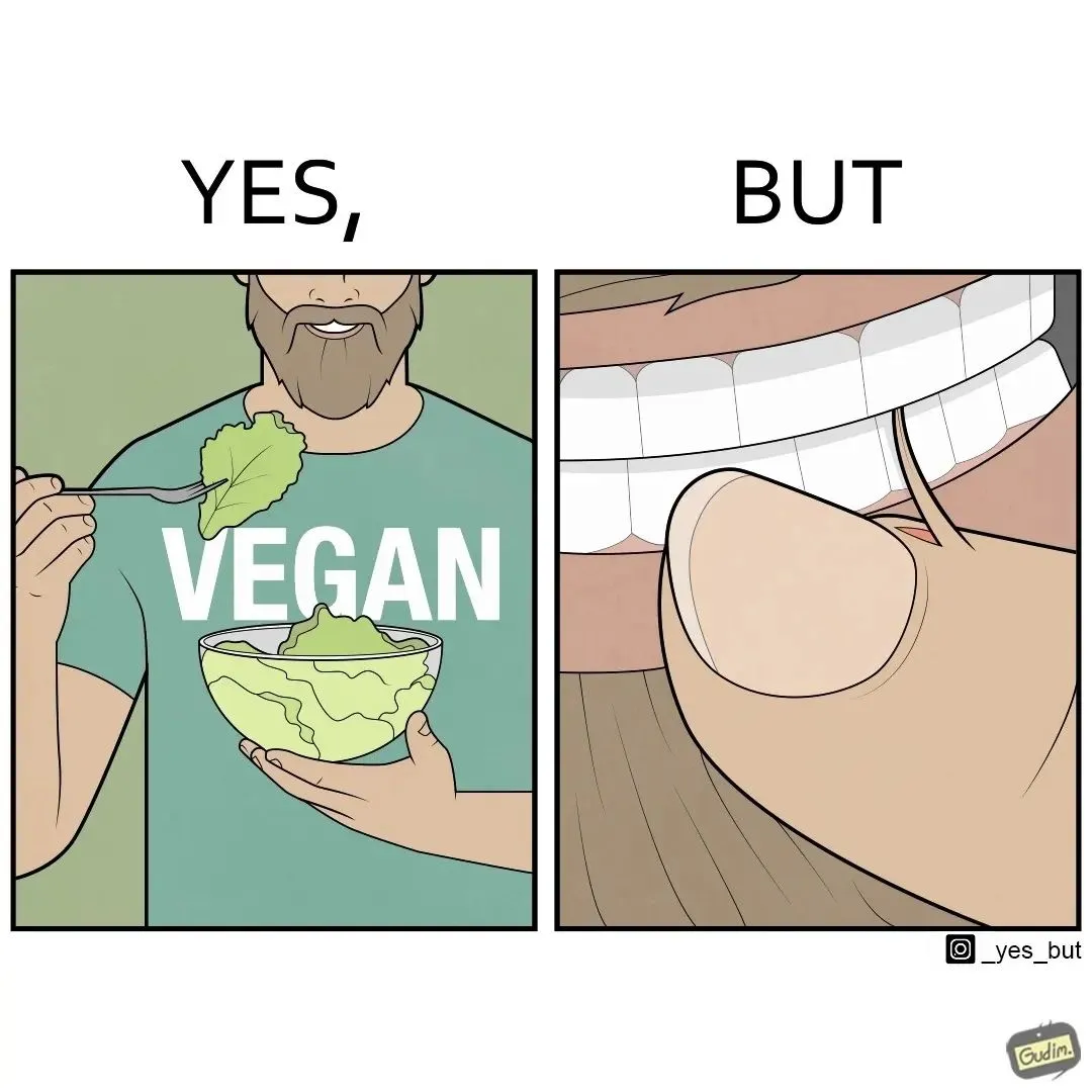 25 “Yes, But” Illustrations By Anton Gudim That You Might Relate To (New Pics)