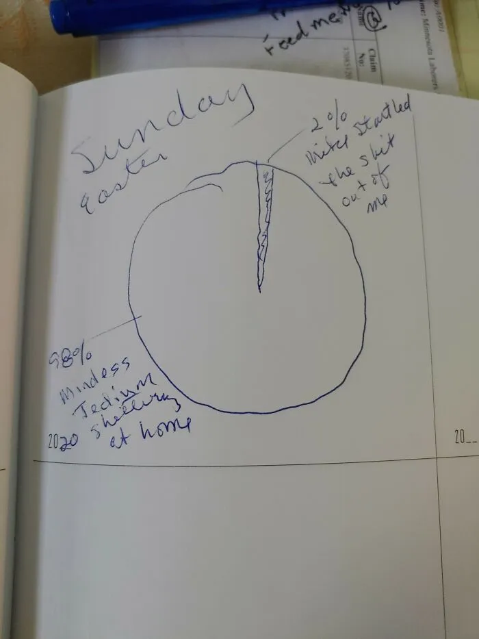 Diary Entry 2020