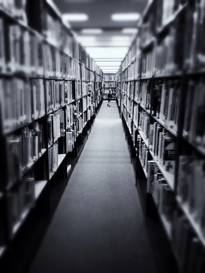 My 3-Year-Old Librarian. Love Books. Freeeee Books