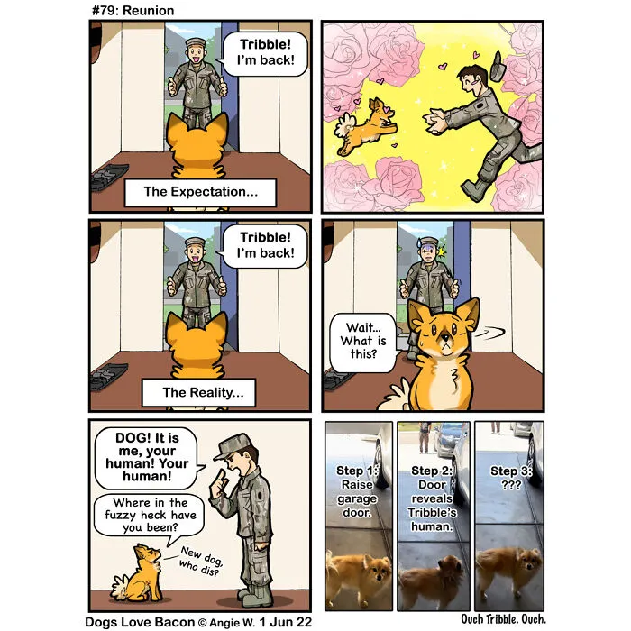 23 Comics I Made To Illustrate The Funny Reality Of Being A Dog Owner (New Pics)