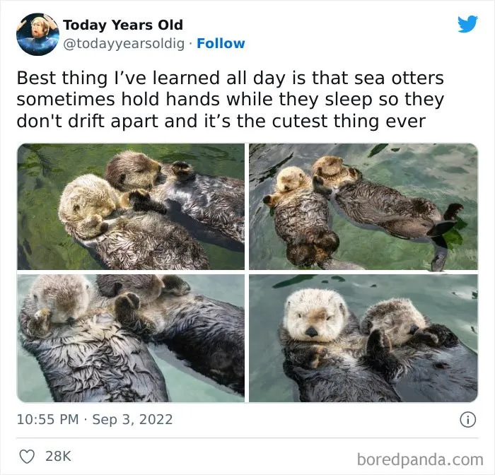 The ‘Today Years Old’ Social Media Project Shares Cool Facts, And Here Are 50 Of The Very Best Ones