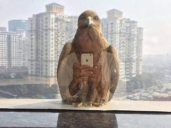 50 Times People Noticed Something Dreamlike And Shared Photos On The "Accidental Surrealism" Group