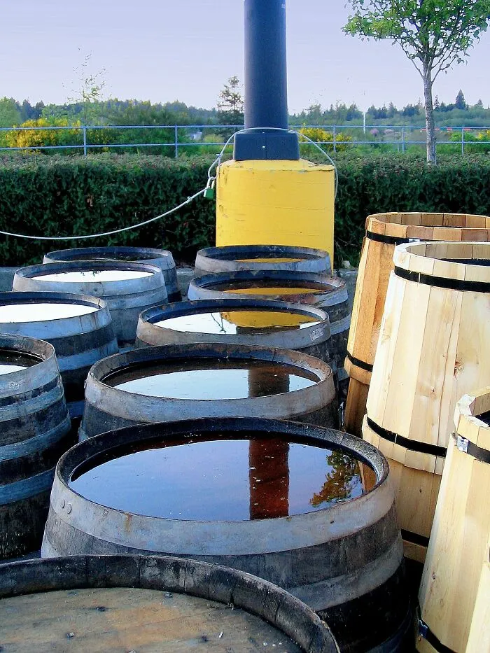Utah Bans Homeowners From Collecting And Using Rainwater That Falls On Their Property
