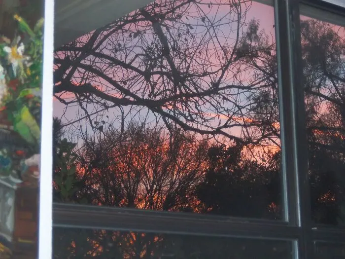 Evening At Home