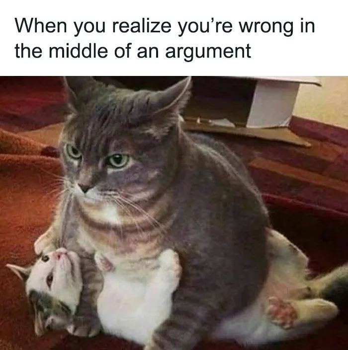 Funny cat meme showing two cats, one sitting on the other with a humorous caption about realizing you're wrong.