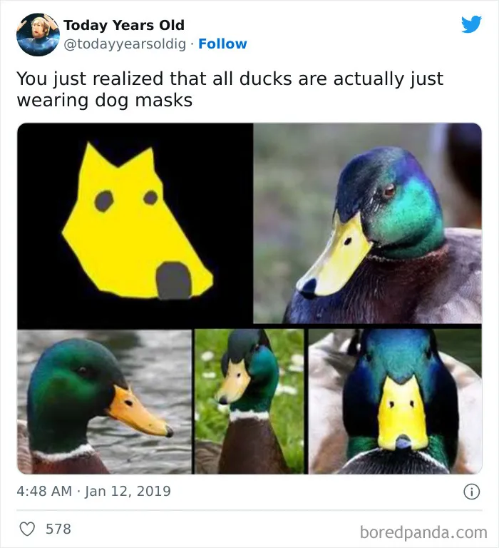 The ‘Today Years Old’ Social Media Project Shares Cool Facts, And Here Are 50 Of The Very Best Ones