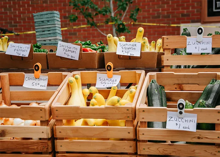 30 Common Myths That People Have To Finally Stop Believing