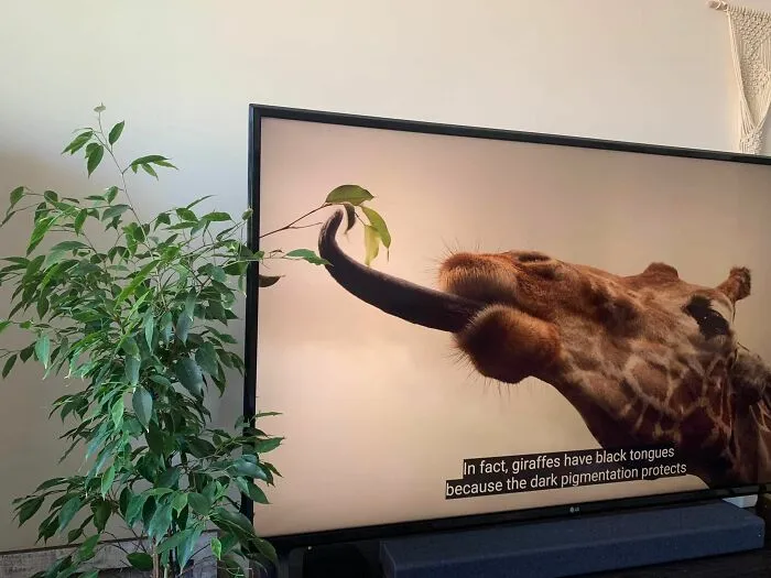 50 Times People Noticed Something Dreamlike And Shared Photos On The "Accidental Surrealism" Group